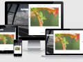 Websites f&uuml;r Fotografen, Hamburg - Neu ins Web