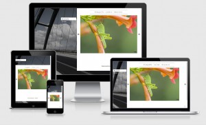 Websites f&uuml;r Fotografen, Hamburg - Neu ins Web